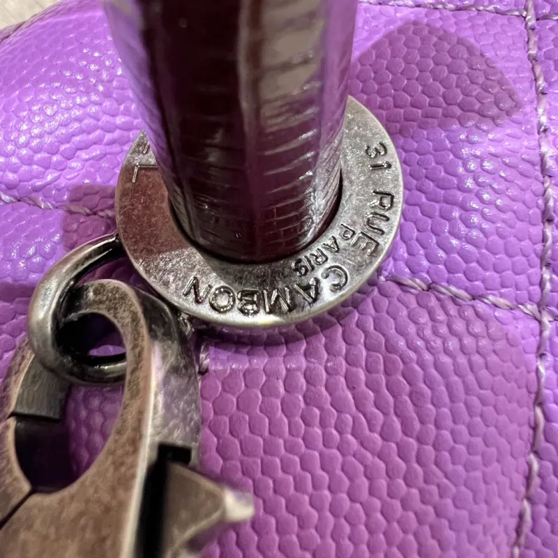 Middle Lizard Handle 29cm CM 6 High Quality Bags - Image 8