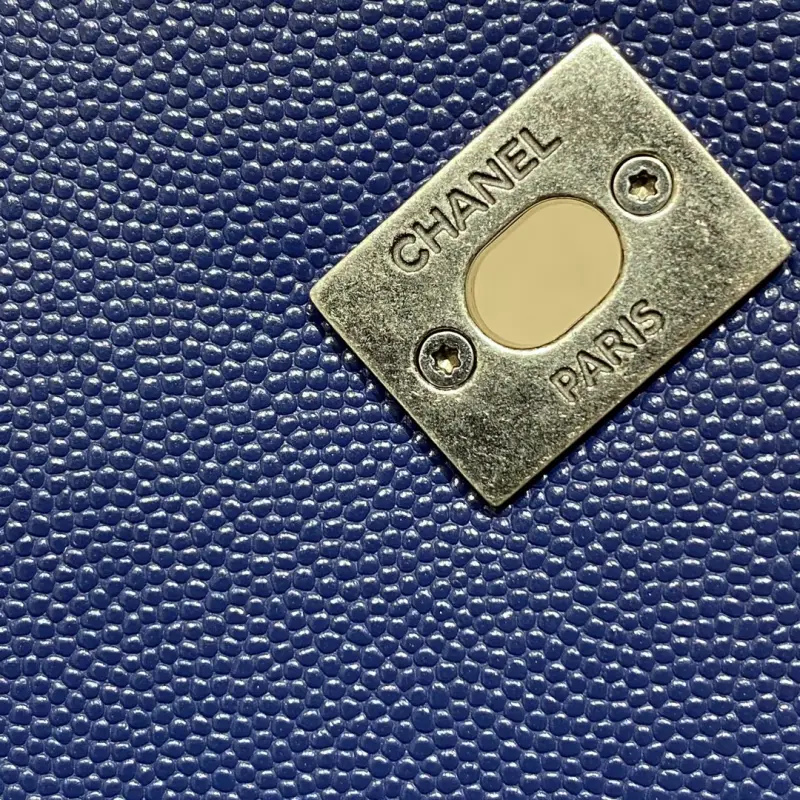 Small 24cm Lizard Handle CM 3 High Quality Bags - Image 7