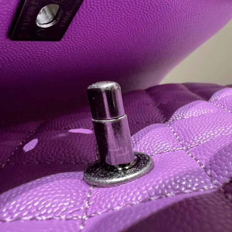 Middle Lizard Handle 29cm CM 6 High Quality Bags - Image 7