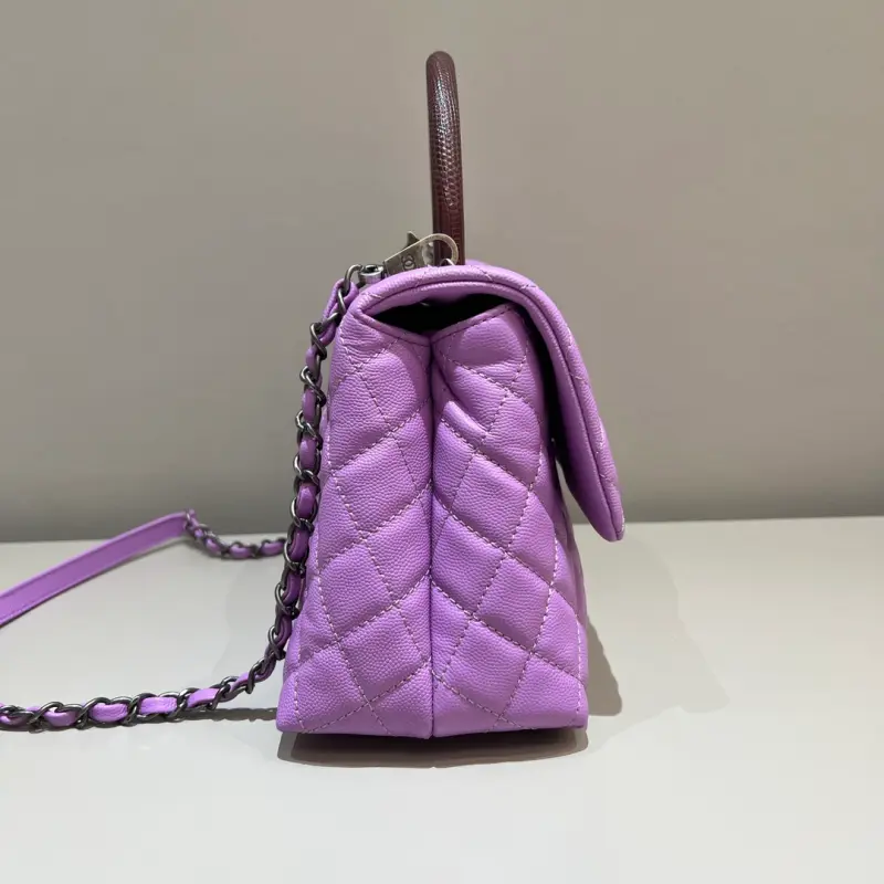 Middle Lizard Handle 29cm CM 6 High Quality Bags - Image 3